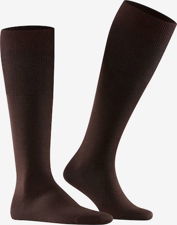 FALKE Socken in Braun