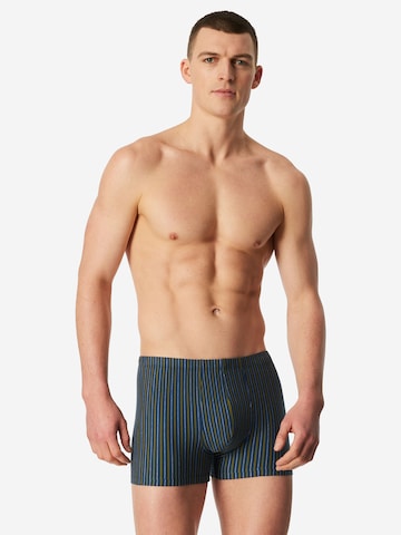 SCHIESSER Trunk ' 95/5 ' in Blau