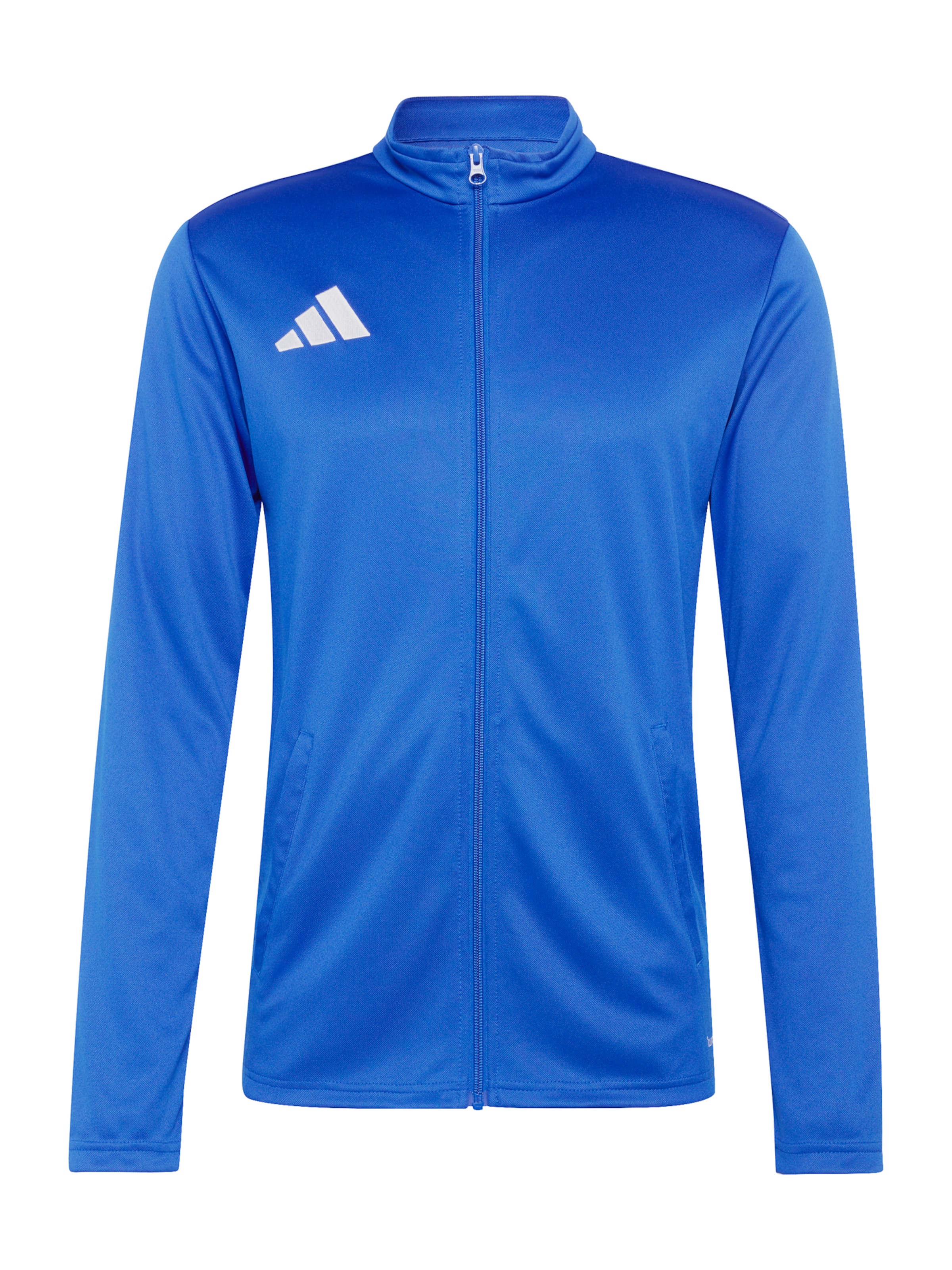 ADIDAS PERFORMANCE Training jacket 'ENT26' in Blue: front