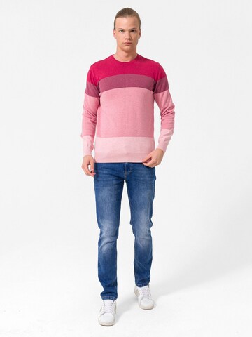 Dandalo Pullover in Pink