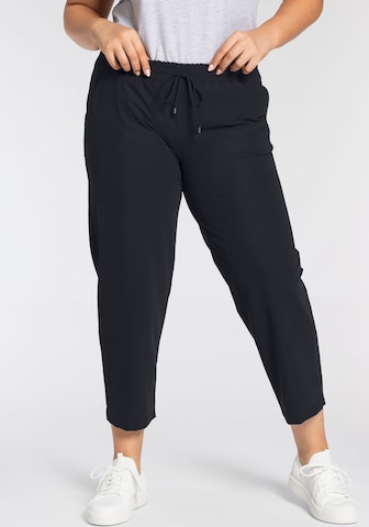 KjBRAND Regular Pants in Black: front