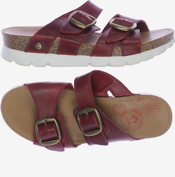 PANAMA JACK Sandalen 38 in Rot: predná strana