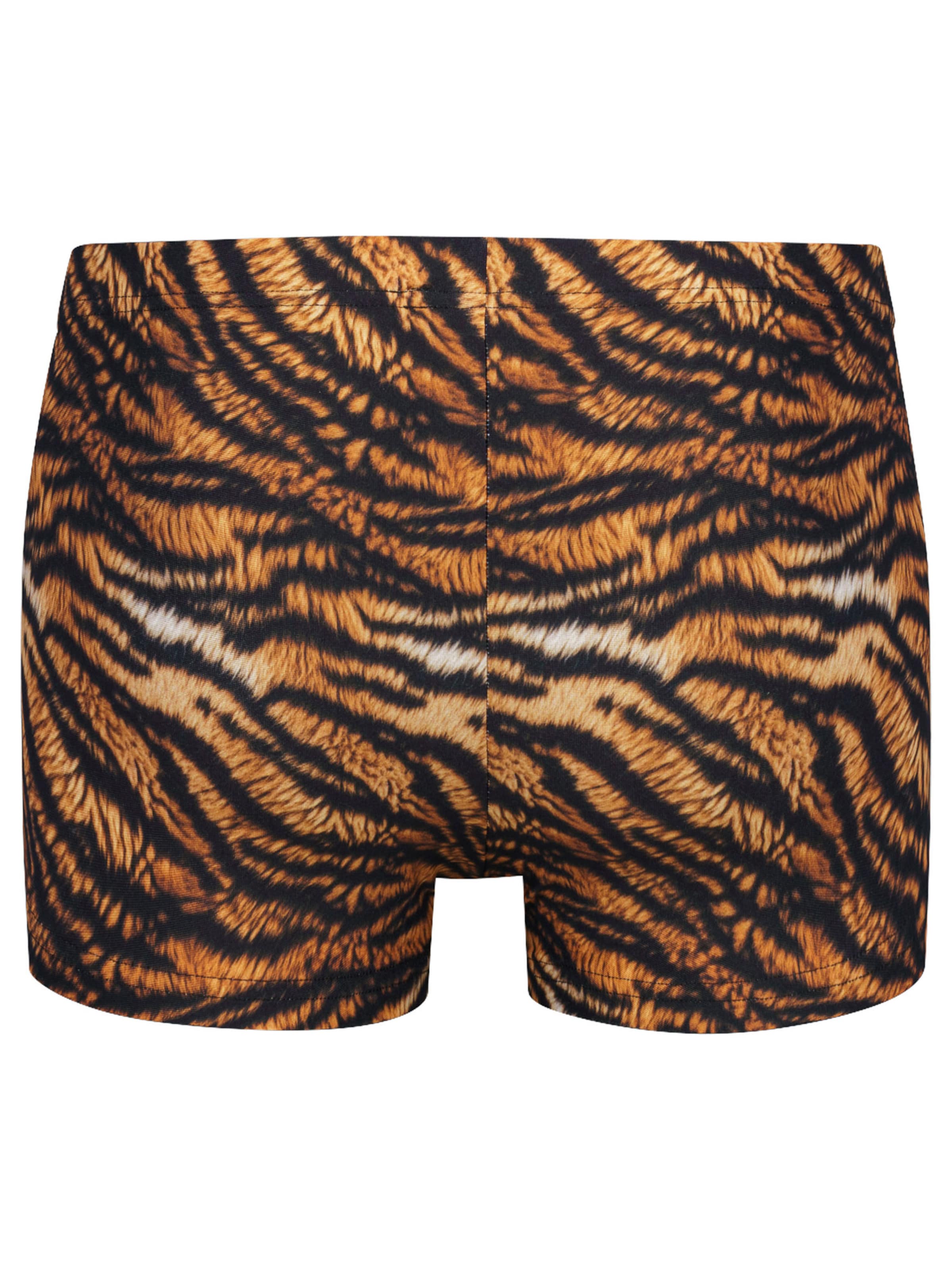 Manstore Boxer shorts ' M2577 Micro Pants ' in Brown