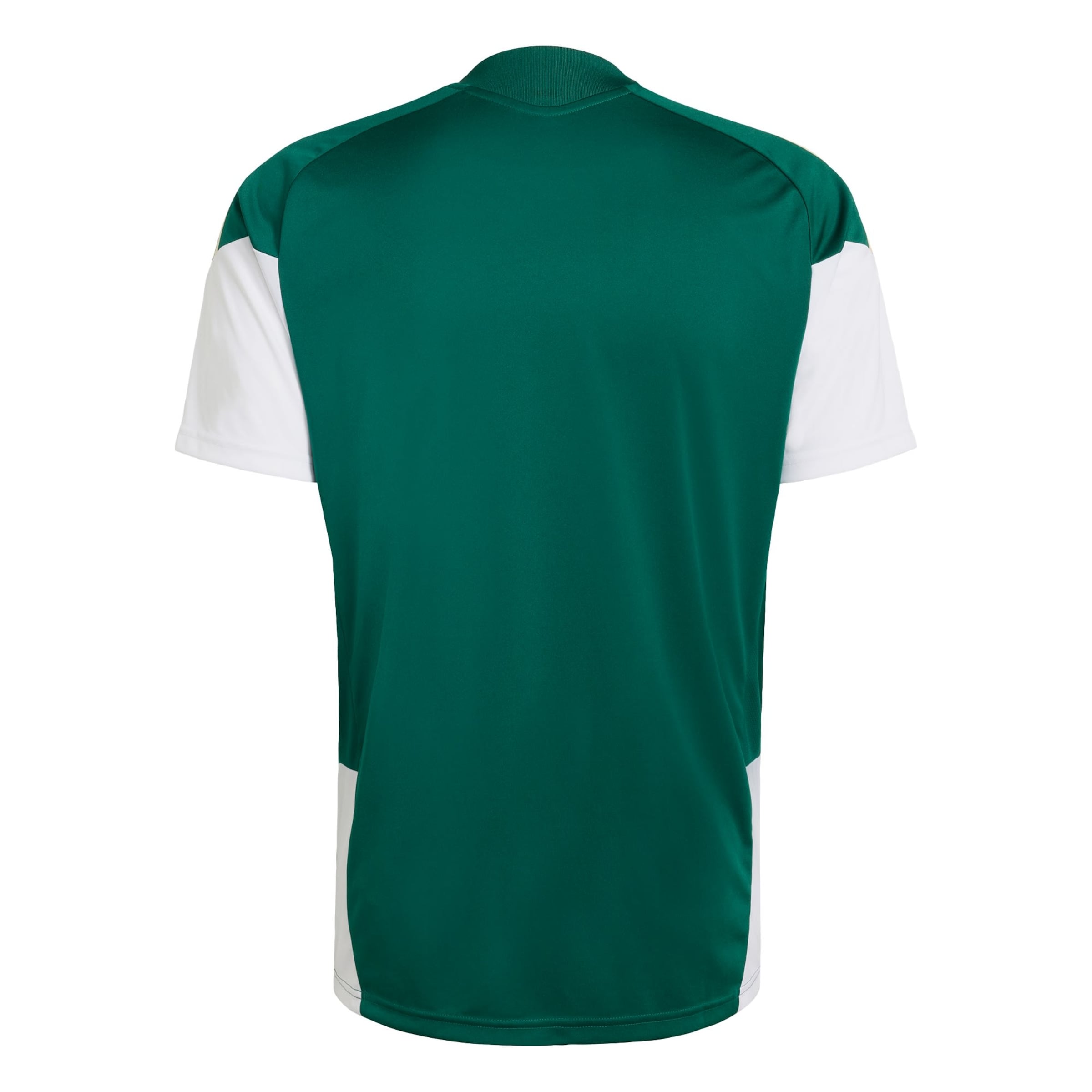 Maglia trikot 'Italien 26' di ADIDAS PERFORMANCE in verde