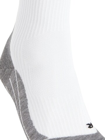 FALKE Athletic Socks 'TE4' in Mixed colors