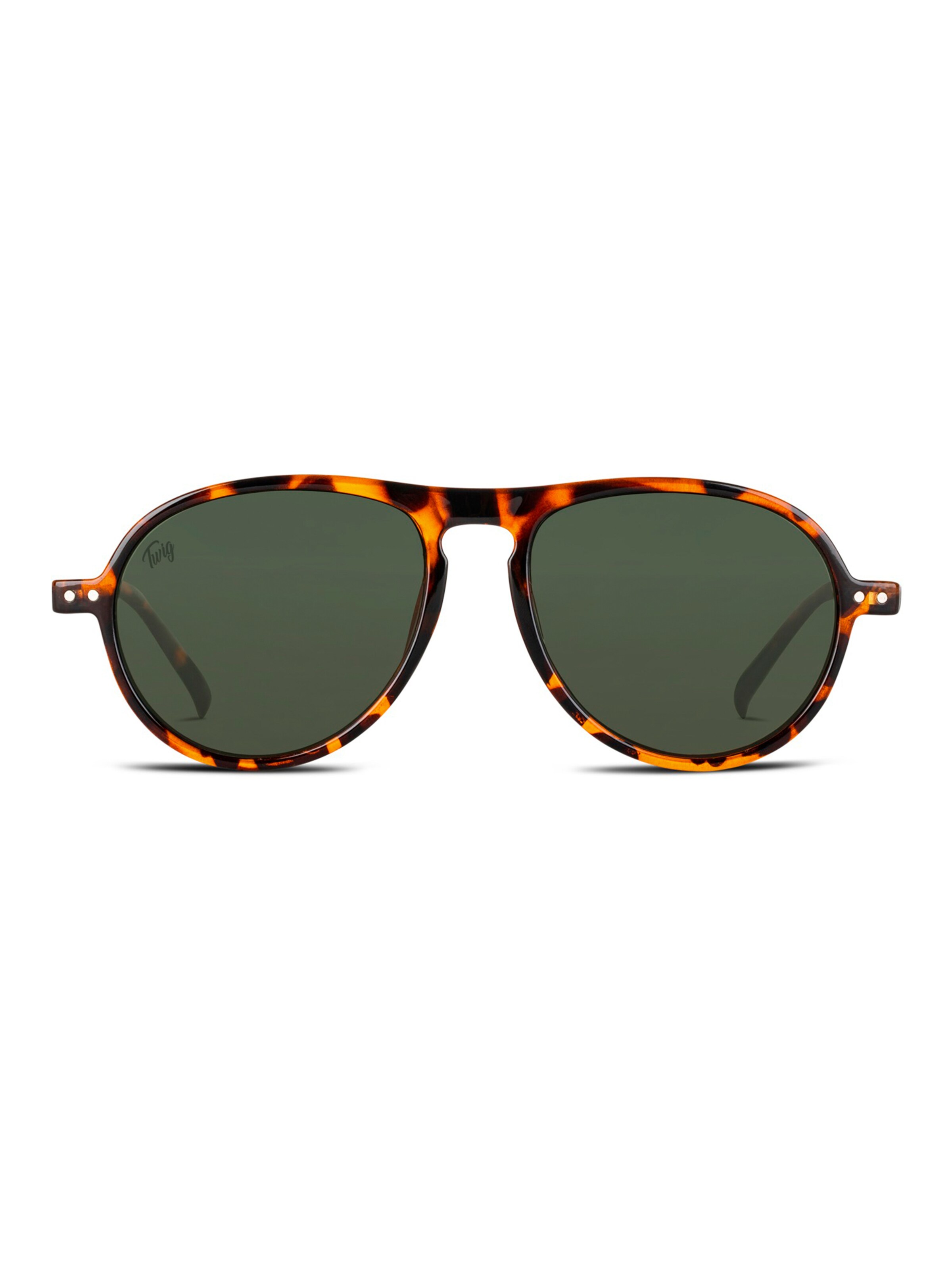 TWIG Concept Milano Sunglasses 'Thiele Sun' in Brown