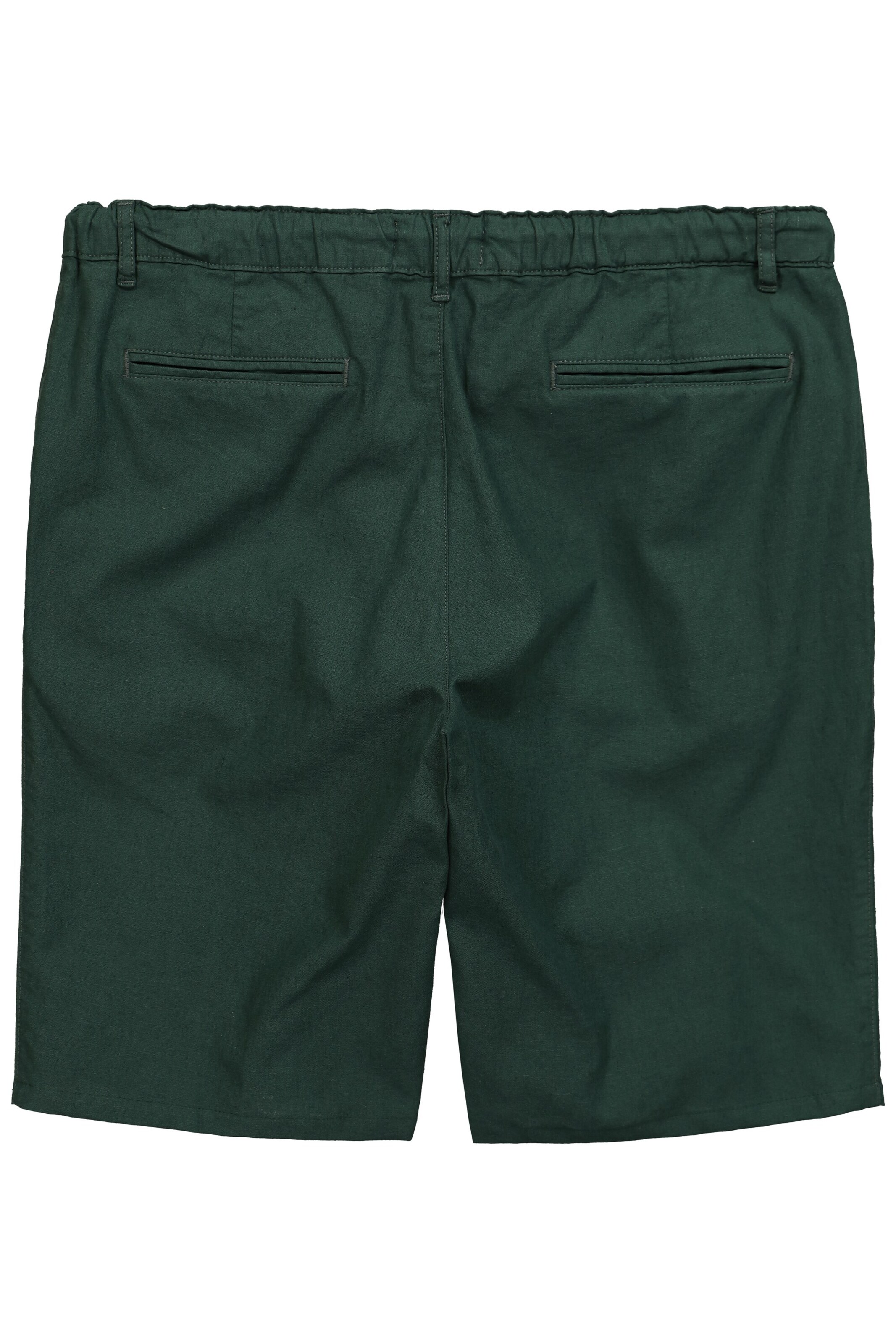 Men Plus Regular Hose in Grün