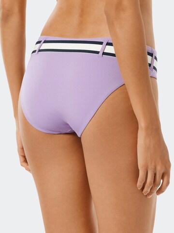 Bas de bikini ' Aqua Californian Dream ' SCHIESSER en violet