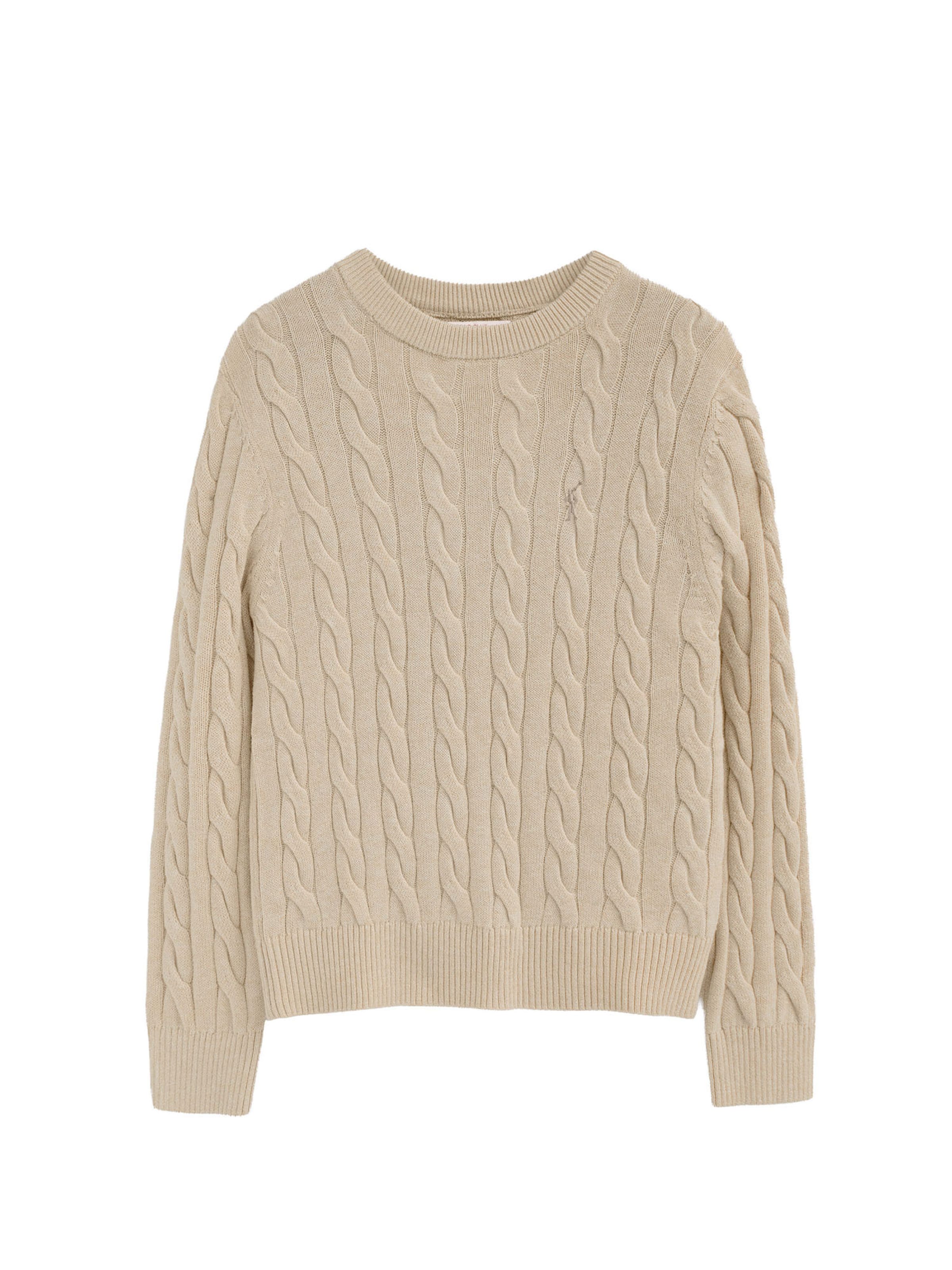 Polo Club Sweater ' RIGBY' in Beige: front