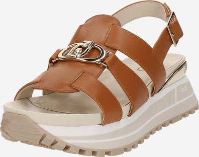 Liu Jo Sandale 'MAXI WONDER' u zeleno smeđa, Pregled proizvoda