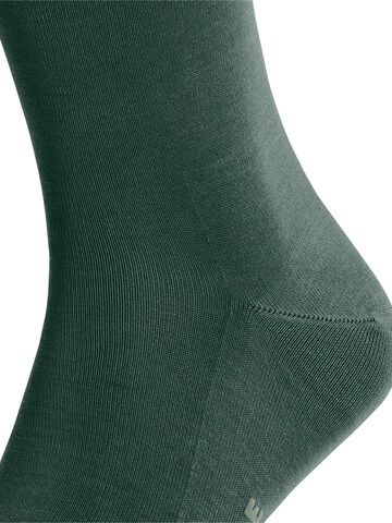 FALKE Socken 'Tiago'‌‌‌‌ in Grün
