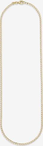 BRUNO BANANI Necklace in Gold: front