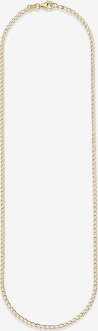 BRUNO BANANI Necklace in Gold: front