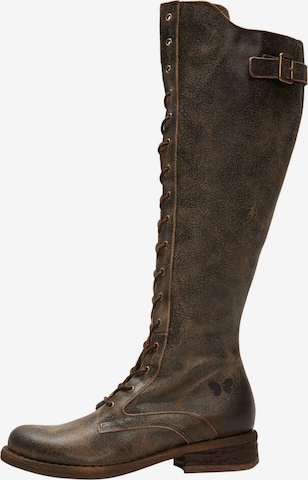 FELMINI Lace-Up Boots 'Gredo ' in Brown