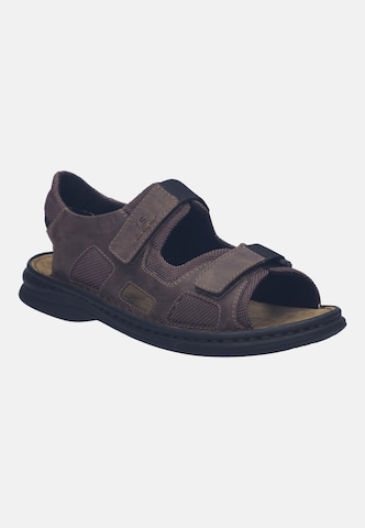 JOSEF SEIBEL Sandal in Brown