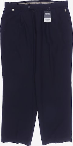 Golfino Pants in 27 in Blue: front