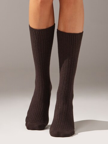 CALZEDONIA Socken in Braun