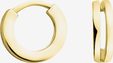 Sofia Milani Ohrringe in Gold: Vorderseite