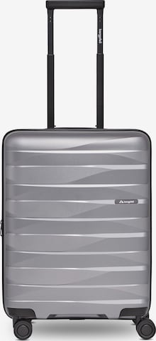 Trolley di Bergpfeil in argento: frontale