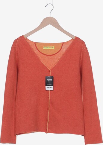 LIEBLINGSSTÜCK Sweater & Cardigan in XL in Orange: front