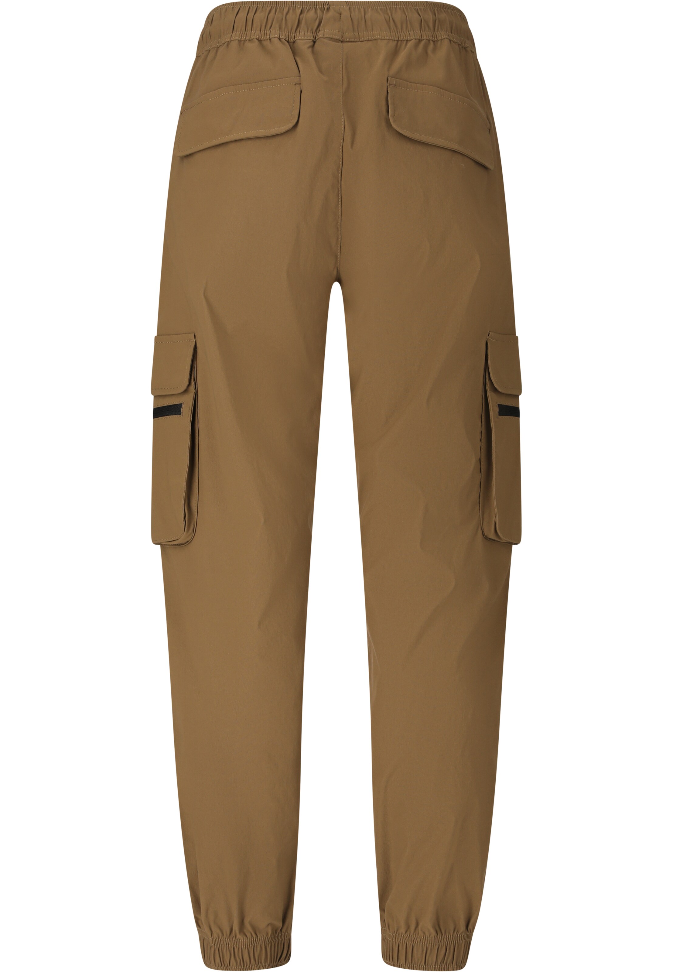 Whistler Regular Sports trousers 'Portus' in Brown
