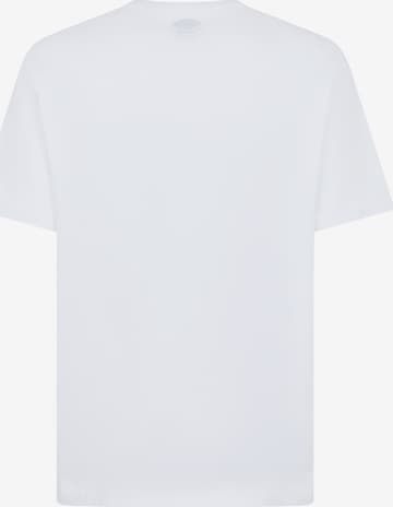 T-Shirt 'AITKIN' DICKIES en blanc