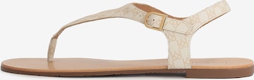 Kazar T-Bar Sandals in White: front