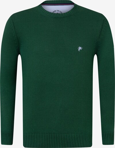 DENIM CULTURE Sweater 'Brian' in Light blue / Grass green, Item view