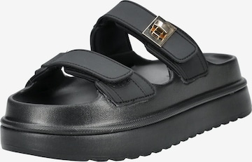 STEVE MADDEN Mules in Black: front