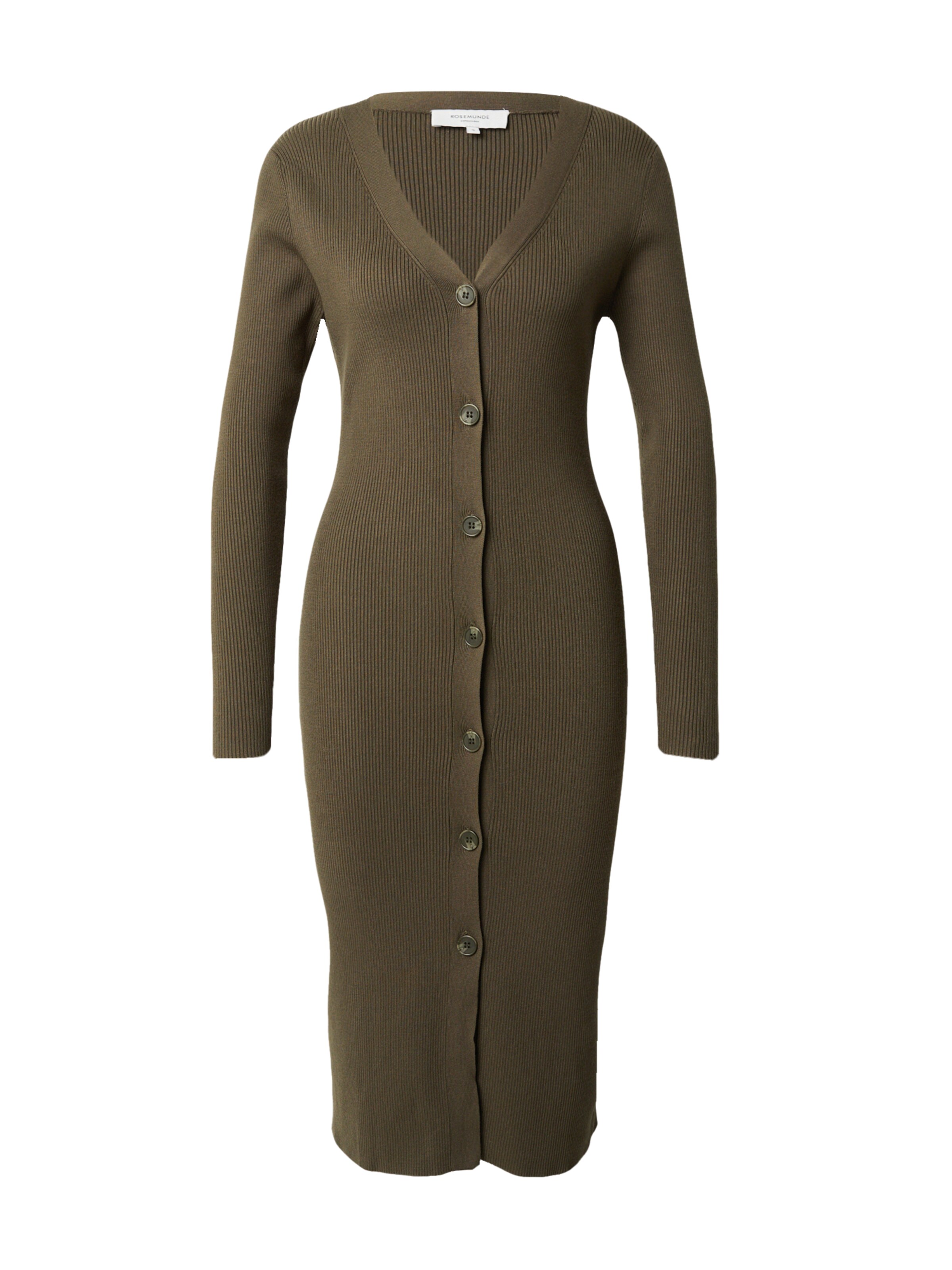 rosemunde Kleid in Grün: Vorderseite