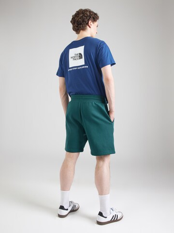 regular Pantaloni di THE NORTH FACE in verde