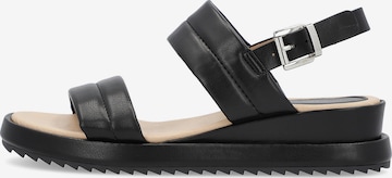 COX Strap Sandals in Black: front