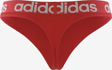 ADIDAS SPORTSWEAR Thong ' Realasting Cotton ' in Mixed colors