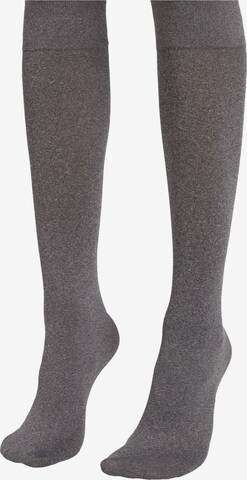 CALZEDONIA Knee High Socks in Grey: front