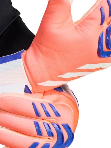 ADIDAS PERFORMANCE Sporthandschuhe 'Predator League Coral Blaze'‌‌ in Mischfarben