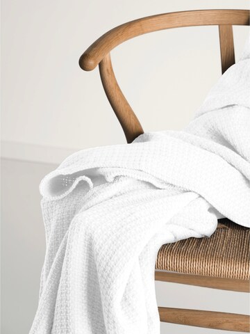 Cradle Studio Blankets in White