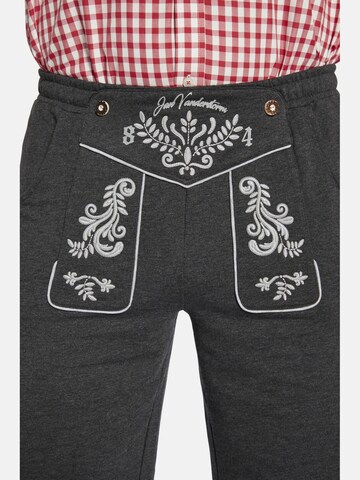 Loosefit Pantalon folklorique ' Dennik ' Jan Vanderstorm en gris