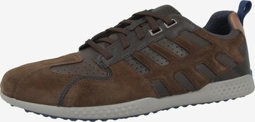 GEOX Sneakers laag 'Snake' in Bruin: voorkant