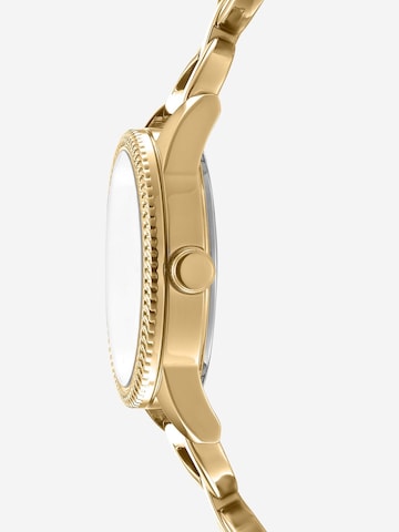 DKNY Analoguhr in Gold
