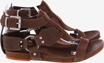 BARACHINI Sandals & High-Heeled Sandals in 38 in Brown