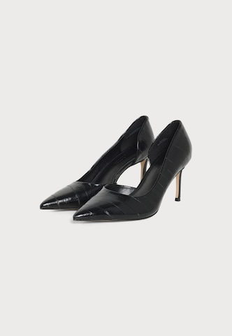 STEVE MADDEN Pumps 'Nula' in Black