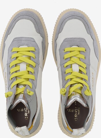 Crickit Sneaker ' OLISA ' in Grau