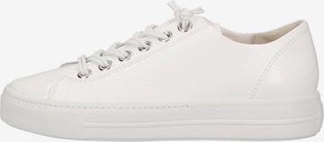 Paul Green Sneakers low i hvit