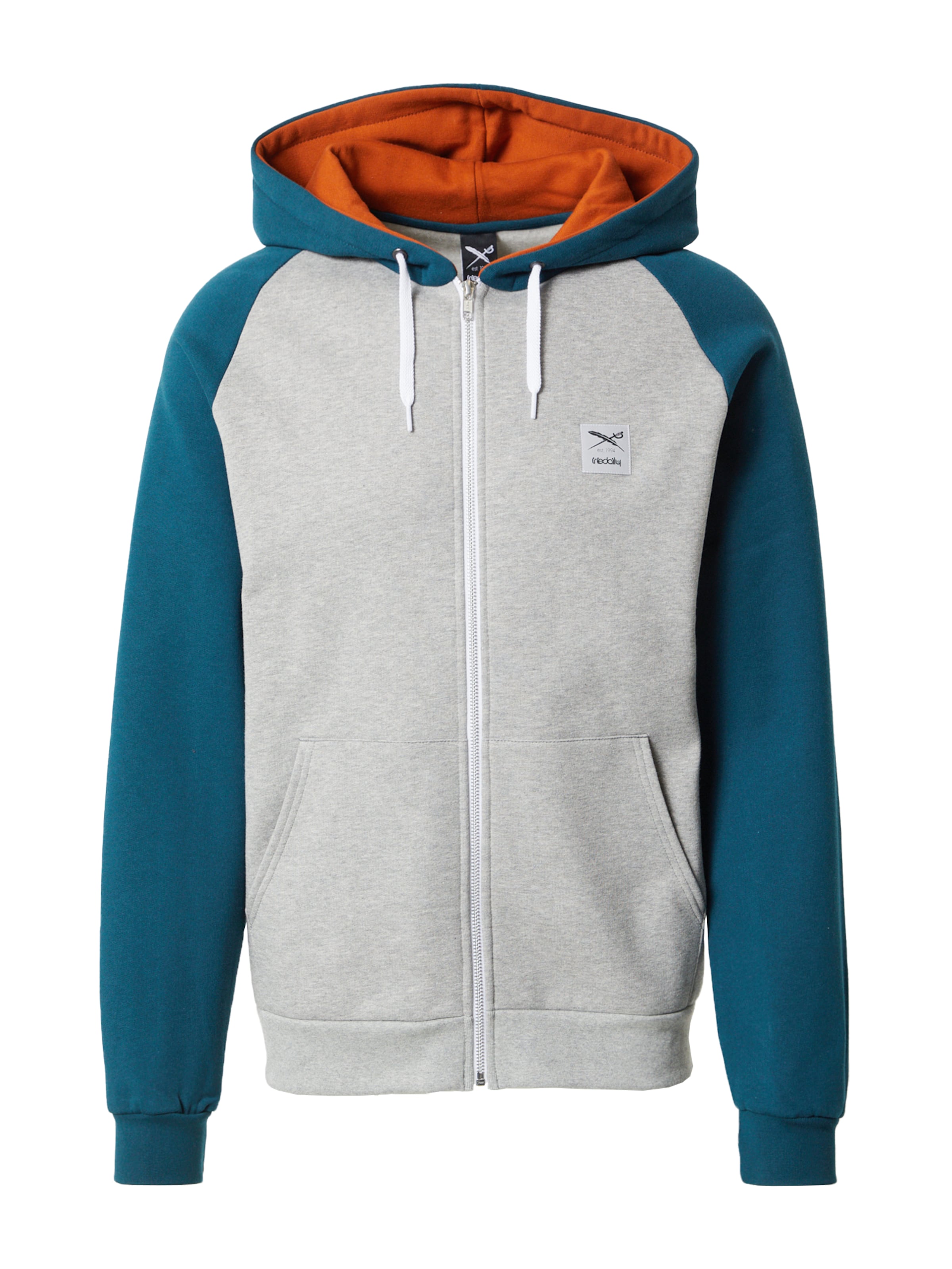 Iriedaily Sweat jacket 'De College 2' in Grey: front