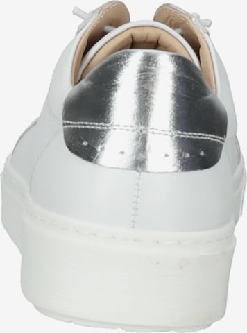 Baskets basses HUSH PUPPIES en blanc