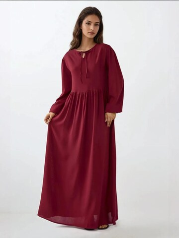 Hiccup Kleid in Rot: Vorderseite