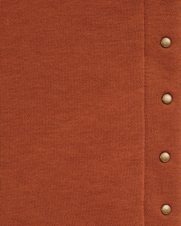 Regular Pantalon WE Fashion en marron