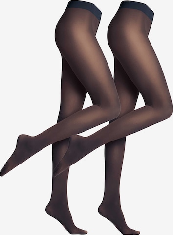 FALKE Tights in Blue: front