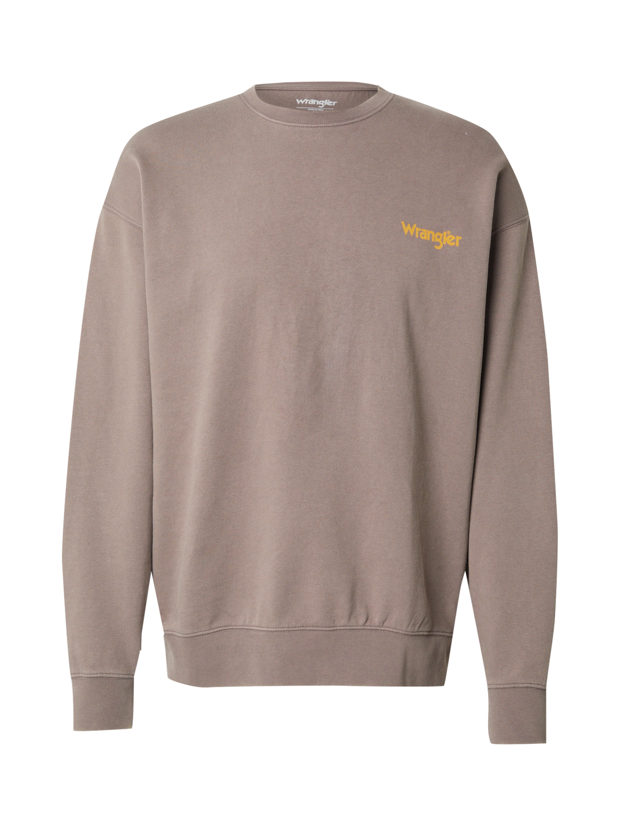 Felpa di WRANGLER in grigio: frontale