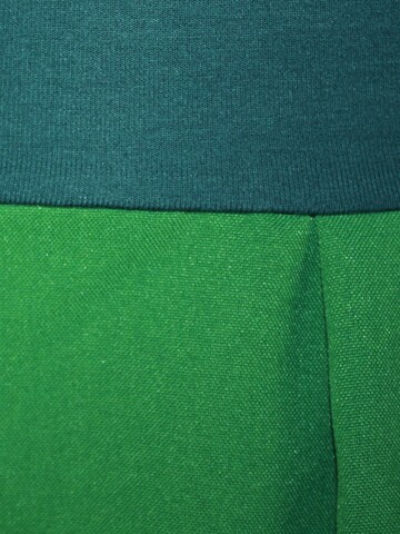 dunkle design Skirt in Green